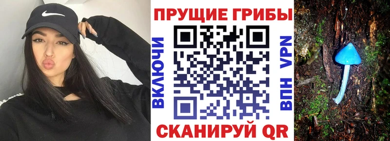 Псилоцибиновые грибы Magic Shrooms цена Смоленск
