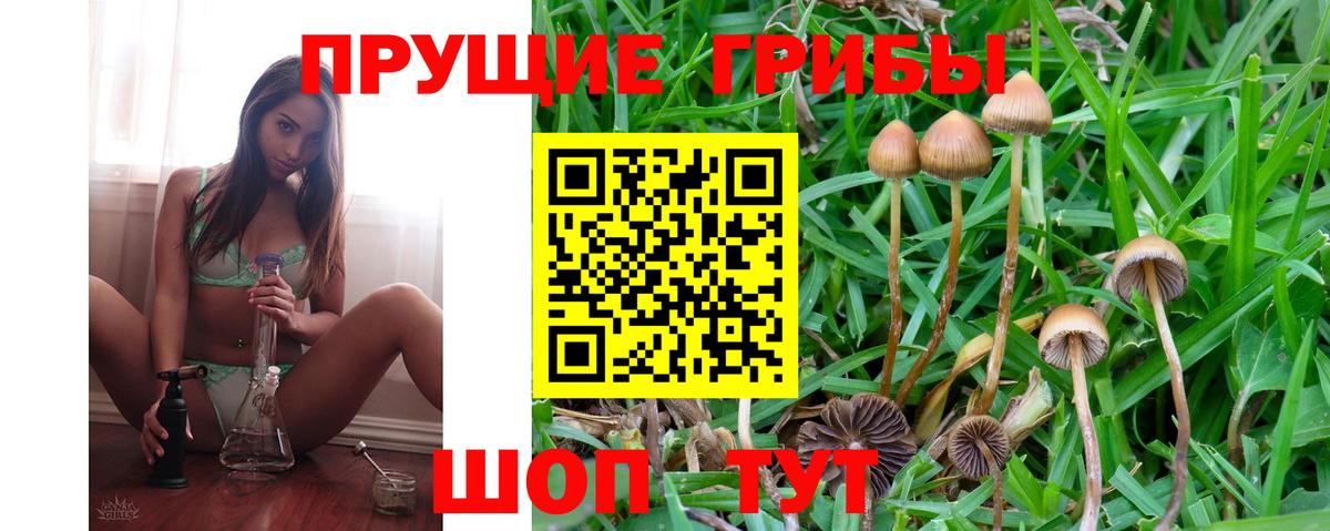 Галлюциногенные грибы Psilocybine cubensis  Псилоцибиновые грибы мухоморы  Вход с VPN  Смоленск 